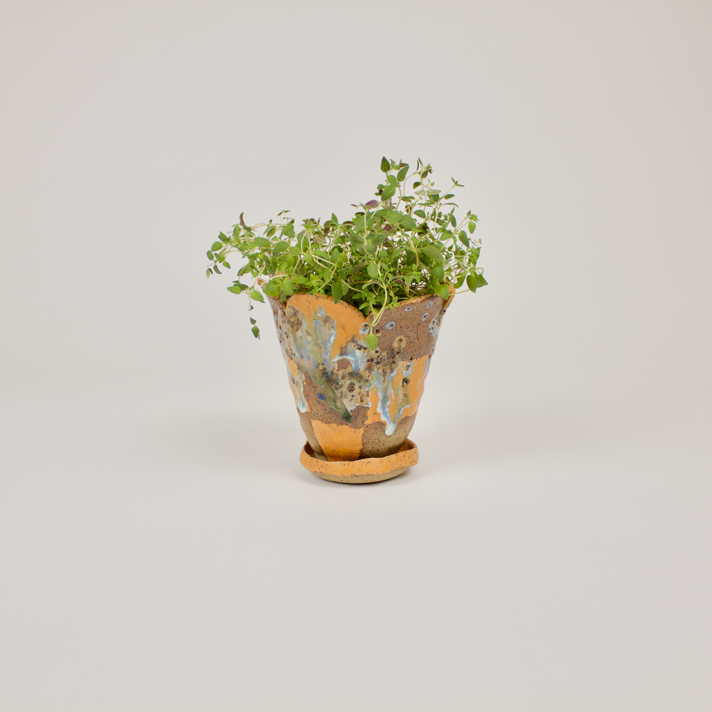 Scalloped Checker Planter