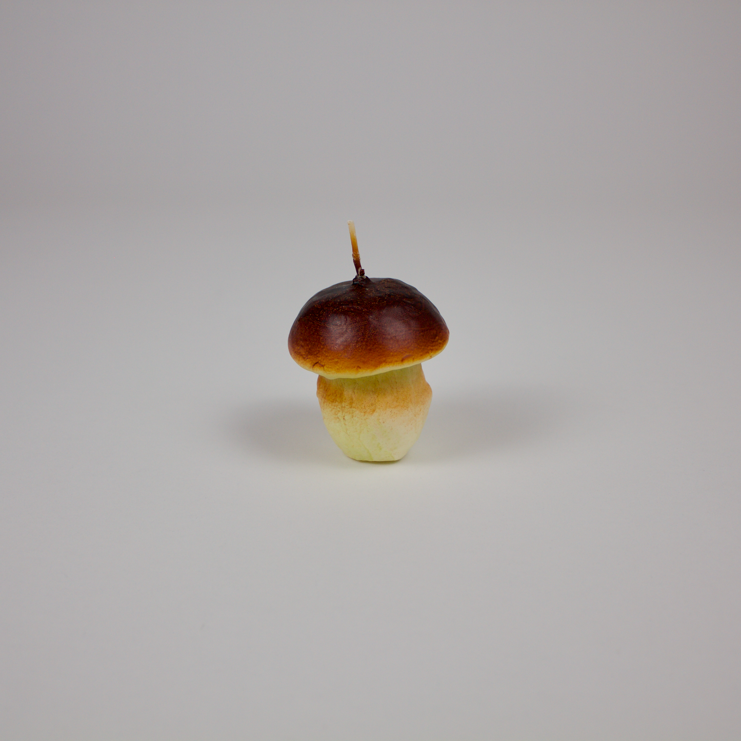 Mushroom Candle
